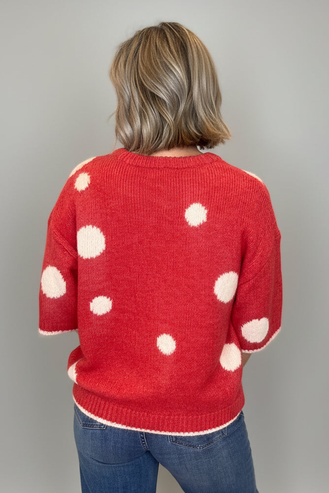 Polka Dot Short Sleeve Knit-2