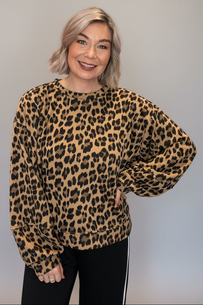 Leopard Balloon Sleeve Sweater-1